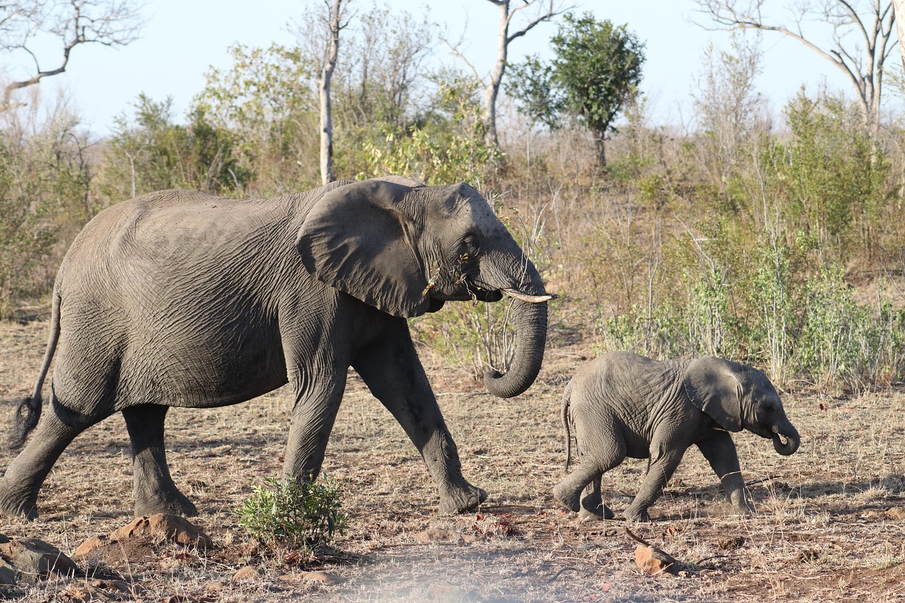 上海動(dòng)物園回應(yīng)“父母喂10月齡嬰兒喝奶瓶被趕”：處理不當(dāng)，深表歉意